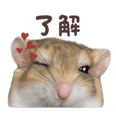 Risaaa_20250727160456