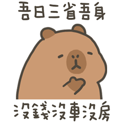 卡比巴拉肥水豚吾日三省吾身