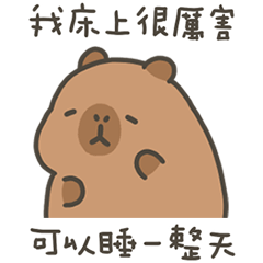 卡比巴拉肥水豚床上很厲害