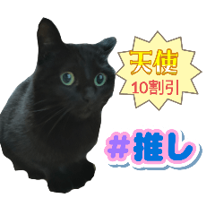 suzu_20250727194336