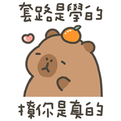 卡比巴拉肥水豚套路是學的