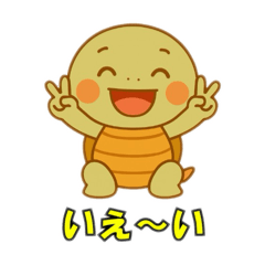 Cute turtle conversations and events