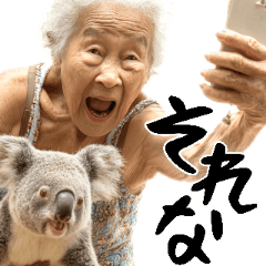 コアラとばばぁ  (毎日便利に使える返信)