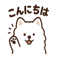 Fluffy Cute Samoyed Daily Stickers