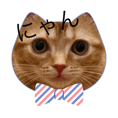 Haruka_20250727104422