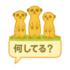 kiki_20250727175701