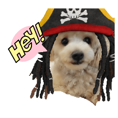 dog_20250727193006