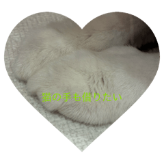 Pinanopi_20250727220050