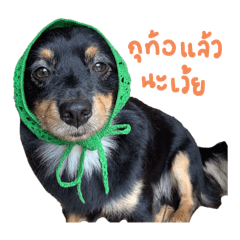 My CHARLIE is sooooooooo cute