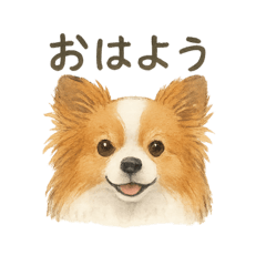 maple_20250727224922