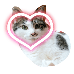 motchi_20250727174931