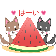 ちびハスキー16【夏】