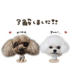 uchinoko_honpo._20250726114341