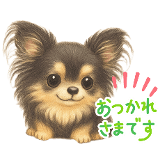 Fluffy Chihuahua: Daily Stickers