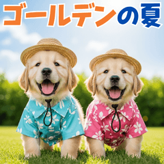 ゴールデンの夏