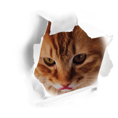 Mizuki_20250727141858