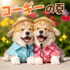 コーギーの夏！！