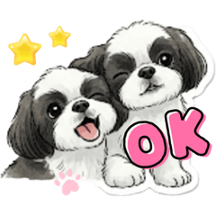 kanae_20250727191333