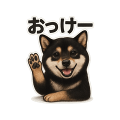 Shiba Inu Cass Vol.1