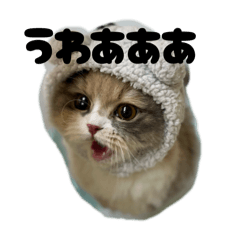 arisa_20250728021904