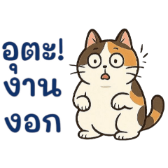 Patty_20250726012024