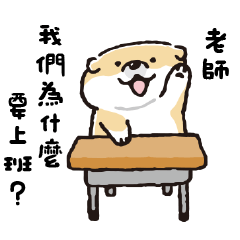 SHIBANBAN: BabyShiba duck out of reality