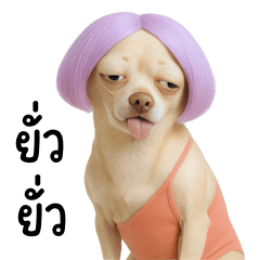 Spaghetti-Strap Chihuahua (BIG)