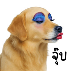 Gorgeous Golden Face (BIG)