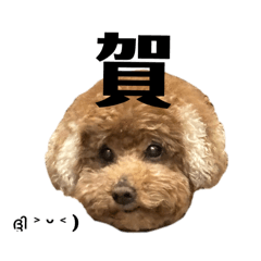 斑歐豆襪布傑牛