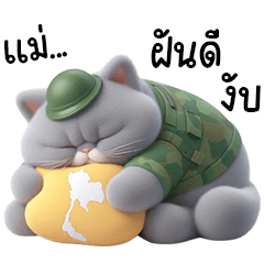 LOVE IN DEEP ROAN CAT"S HEART AND FRIEND