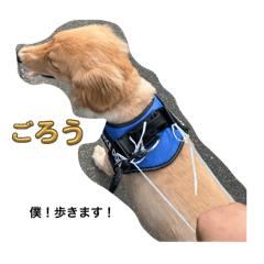 你的孩子怎么样？