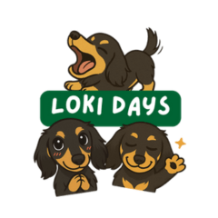 LOKI DAYS