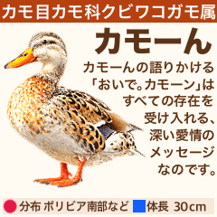 架空鳥空の生き物図鑑