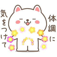 Moving ! Healthy Cat Daily Stickers