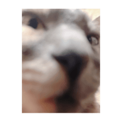 Jilu_20250725121734