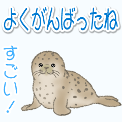 1年中使える♪海の生き物の優しい毎日
