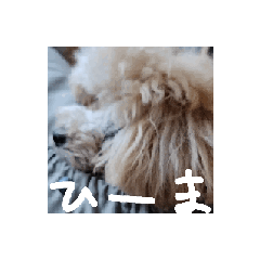 neko_20250728181311