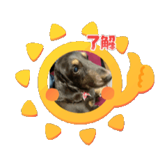haru_20250728200300