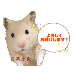 yuzuki_20250728220851