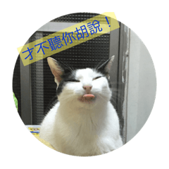 凌貼圖