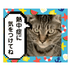 yumi_20250729094454