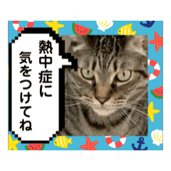 yumi_20250729094355