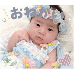 sumire_20250728122450