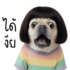 Bob-haired bulldog in pastel