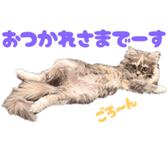 suu_20250728133505