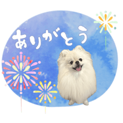 arisa_20250728133607