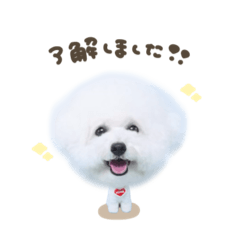 uchinoko_honpo._20250728163133