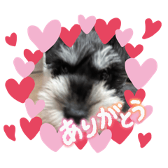 nanami_20250728194506