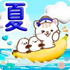 ３Ｄ入り！大人のためのねこ夏の気遣い