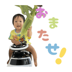 Melon_20250728141704